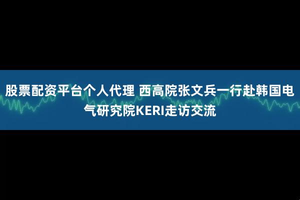 股票配资平台个人代理 西高院张文兵一行赴韩国电气研究院KERI走访交流