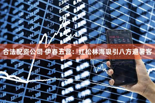 合法配资公司 伊春五营：红松林海吸引八方避暑客
