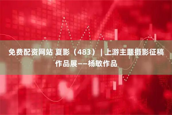 免费配资网站 夏影（483） | 上游主题摄影征稿作品展——杨敏作品