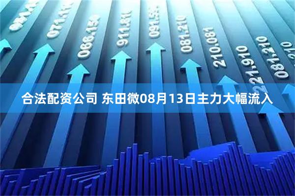 合法配资公司 东田微08月13日主力大幅流入